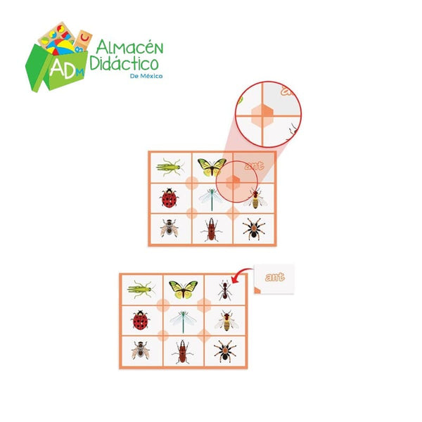 SPELLING BEE ANIMALS