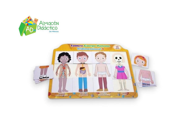 TABLERO DE CUERPO HUMANO TRIDIMENCIONAL 1