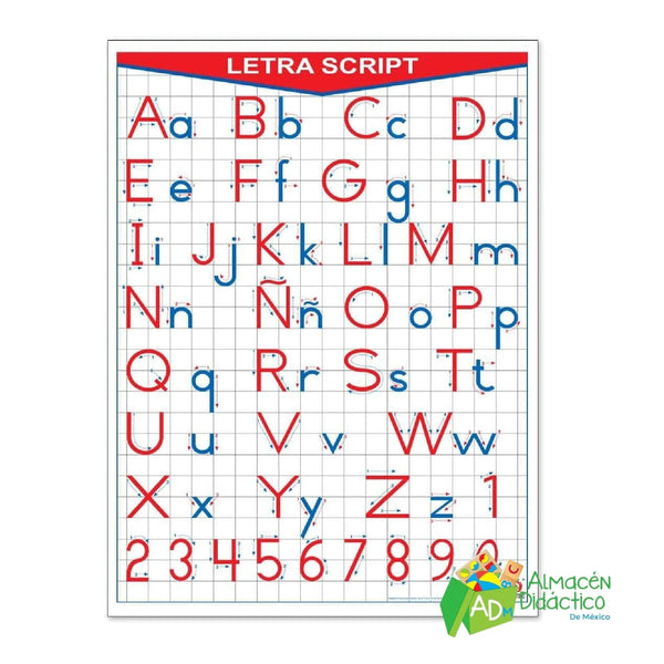PÓSTER LETRA SCRIPT
