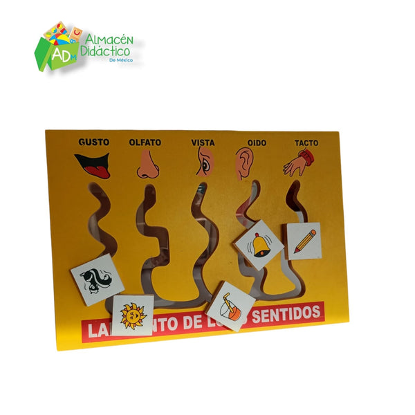 LABERINTO LOS SENTIDOS